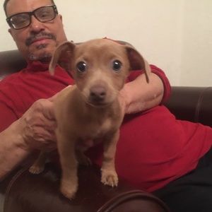 Meet your Posher, Jacqueline